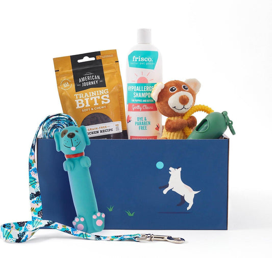 Fun Filled Treat Box - K Doodle Pup Shop