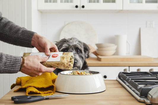 Can't Waite For All That Goodness - K Doodle Pup Shop